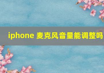 iphone 麦克风音量能调整吗